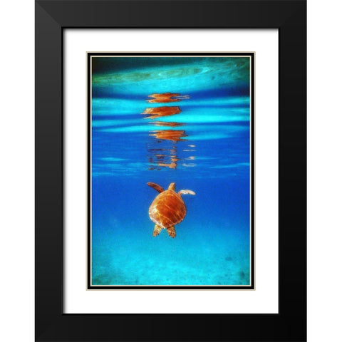 View from Below II Black Modern Wood Framed Art Print with Double Matting by Mansfield, Kathy