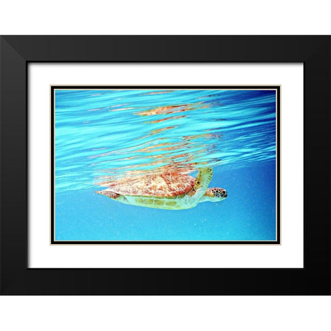 Underwater Depths I Black Modern Wood Framed Art Print with Double Matting by Mansfield, Kathy