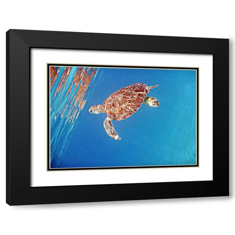 Underwater Depths II Black Modern Wood Framed Art Print with Double Matting by Mansfield, Kathy