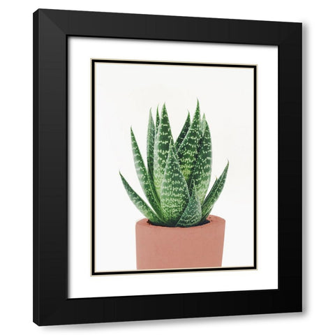 Fern In Terra Cotta Pot Black Modern Wood Framed Art Print with Double Matting by SD Graphics Studio