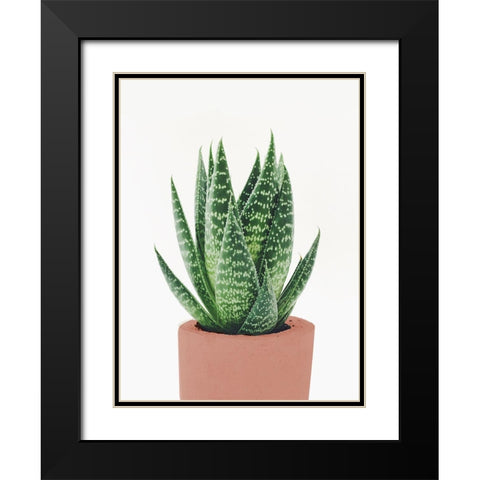 Fern In Terra Cotta Pot Black Modern Wood Framed Art Print with Double Matting by SD Graphics Studio