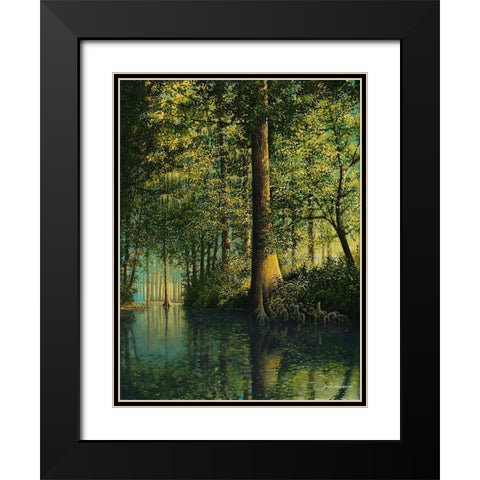 Peaceful River Black Modern Wood Framed Art Print with Double Matting by Nawrocke, Bruce