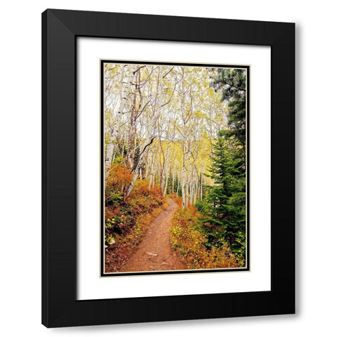 Walk In Christ Black Modern Wood Framed Art Print with Double Matting by Nawrocke, Bruce