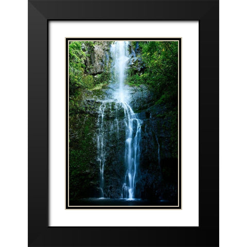 Natural Rain Forest Black Modern Wood Framed Art Print with Double Matting by Nawrocke, Bruce