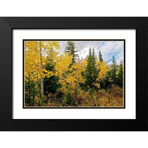 Natures Hidden Treasures II Black Modern Wood Framed Art Print with Double Matting by Nawrocke, Bruce