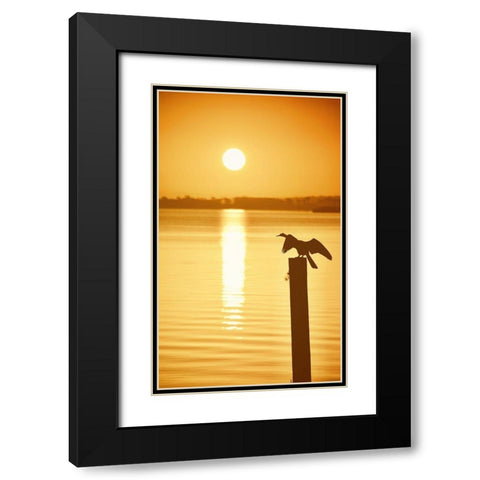 Bird Watch on the Lake Black Modern Wood Framed Art Print with Double Matting by ODell, Debbie