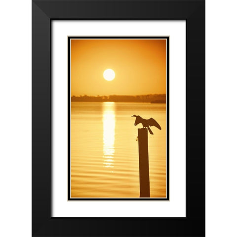 Bird Watch on the Lake Black Modern Wood Framed Art Print with Double Matting by ODell, Debbie