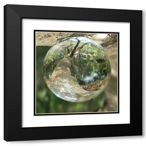 Nature Droplets Black Modern Wood Framed Art Print with Double Matting by ODell, Debbie