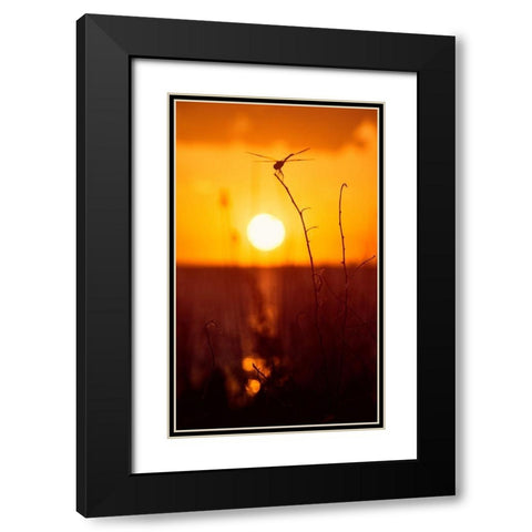 Still Moments Black Modern Wood Framed Art Print with Double Matting by ODell, Debbie