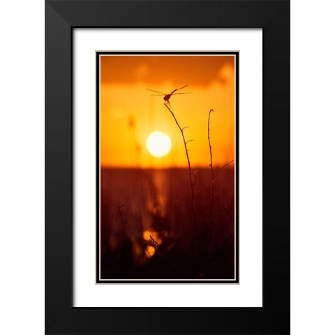 Still Moments Black Modern Wood Framed Art Print with Double Matting by ODell, Debbie