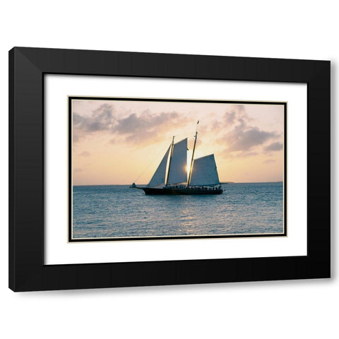 Coastal Sailing Black Modern Wood Framed Art Print with Double Matting by ODell, Debbie