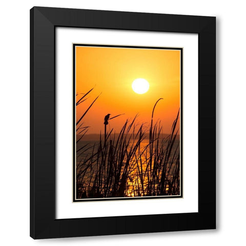 Sunset on the Lake II Black Modern Wood Framed Art Print with Double Matting by ODell, Debbie
