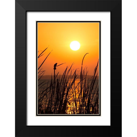 Sunset on the Lake II Black Modern Wood Framed Art Print with Double Matting by ODell, Debbie