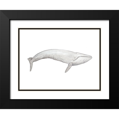 Great Gray Whale Black Modern Wood Framed Art Print with Double Matting by SD Graphics Studio
