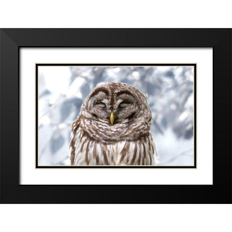 Winter Feathers Black Modern Wood Framed Art Print with Double Matting by Mansfield, Kathy