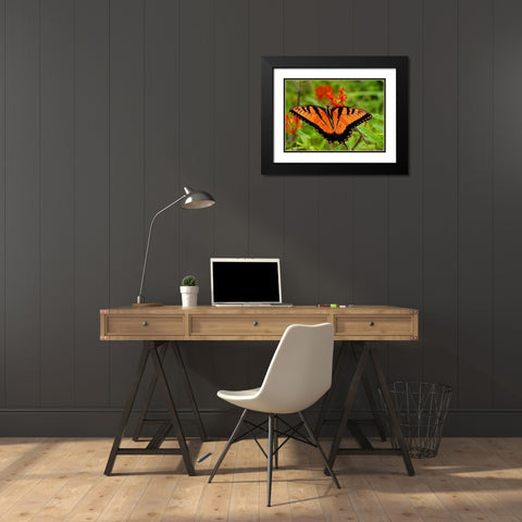 Metallic Butterfly Black Modern Wood Framed Art Print with Double Matting by Mansfield, Kathy