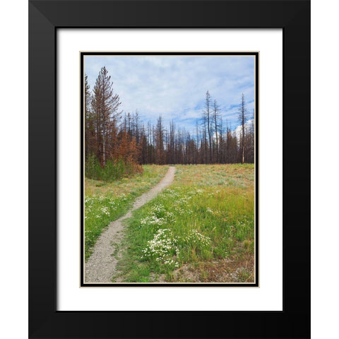 Nature Path Black Modern Wood Framed Art Print with Double Matting by Peck, Gail