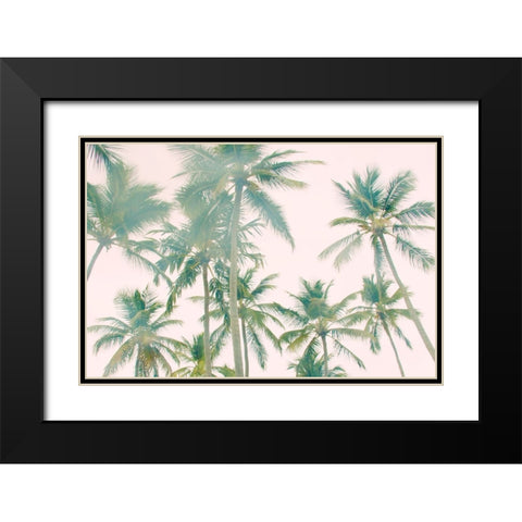 Top Of Palm Island Black Modern Wood Framed Art Print with Double Matting by Navas, Emily