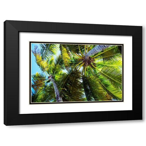 The Shady Spots I Black Modern Wood Framed Art Print with Double Matting by Navas, Emily