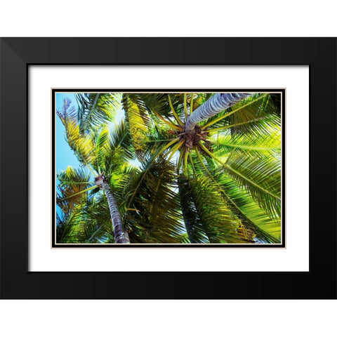 The Shady Spots I Black Modern Wood Framed Art Print with Double Matting by Navas, Emily