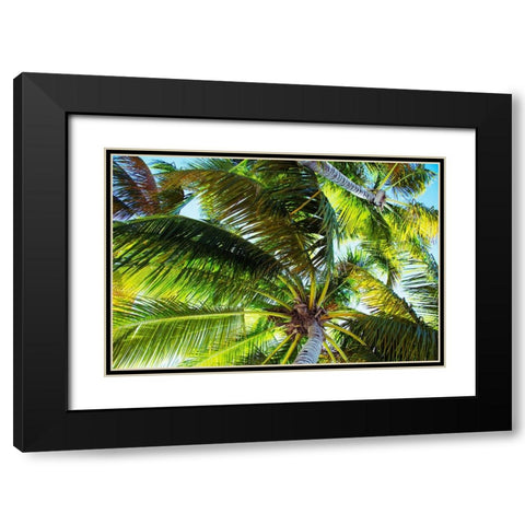 The Shady Spots II Black Modern Wood Framed Art Print with Double Matting by Navas, Emily