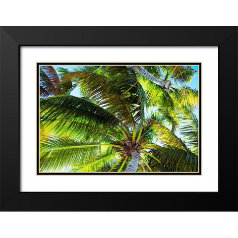 The Shady Spots II Black Modern Wood Framed Art Print with Double Matting by Navas, Emily