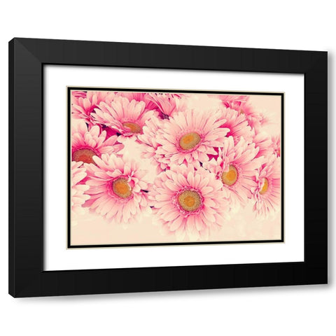 Pink Daisies I Black Modern Wood Framed Art Print with Double Matting by Navas, Emily
