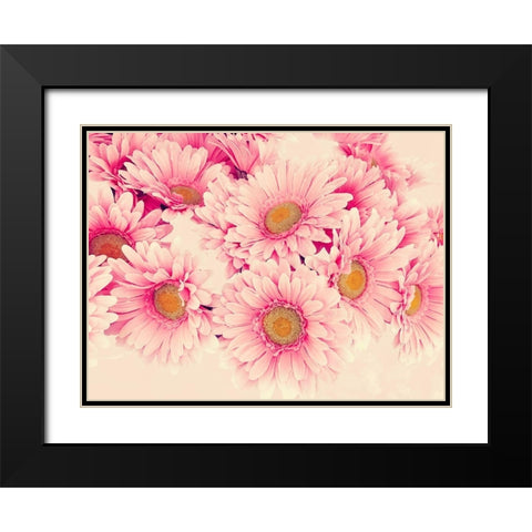 Pink Daisies I Black Modern Wood Framed Art Print with Double Matting by Navas, Emily