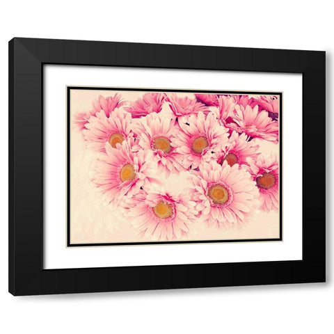 Pink Daisies II Black Modern Wood Framed Art Print with Double Matting by Navas, Emily