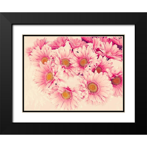 Pink Daisies II Black Modern Wood Framed Art Print with Double Matting by Navas, Emily