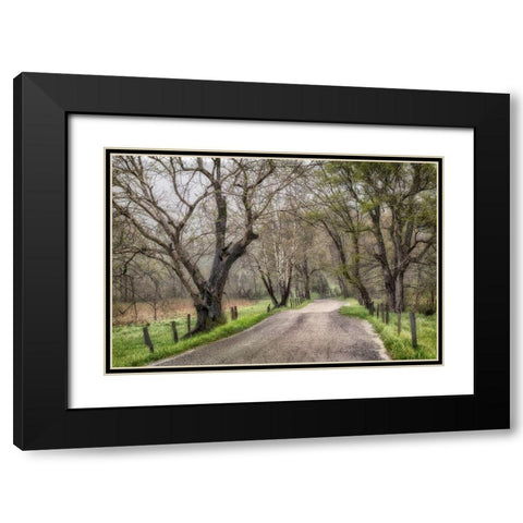 Late Afternoon Walk Black Modern Wood Framed Art Print with Double Matting by Amos, Andy