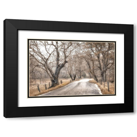 Late Afternoon Walk Black Modern Wood Framed Art Print with Double Matting by Amos, Andy