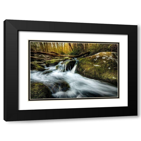 Fallen Timber Black Modern Wood Framed Art Print with Double Matting by Amos, Andy