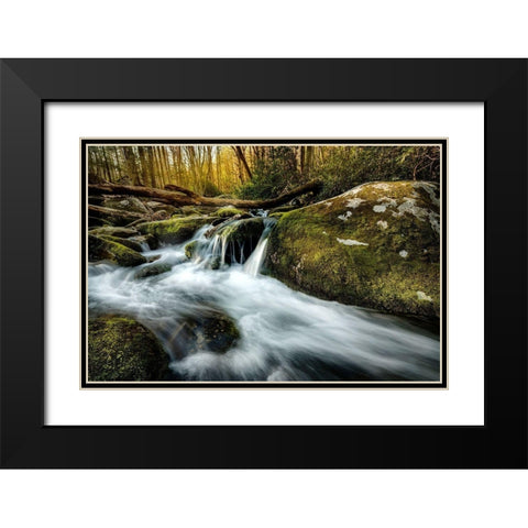 Fallen Timber Black Modern Wood Framed Art Print with Double Matting by Amos, Andy