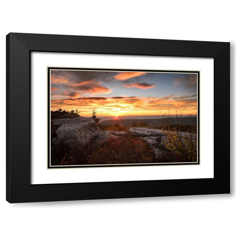 Sunrise in Fall I Black Modern Wood Framed Art Print with Double Matting by Amos, Andy
