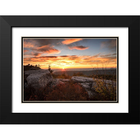 Sunrise in Fall I Black Modern Wood Framed Art Print with Double Matting by Amos, Andy