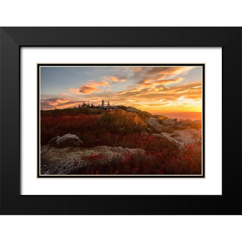 Sunrise in Fall II Black Modern Wood Framed Art Print with Double Matting by Amos, Andy