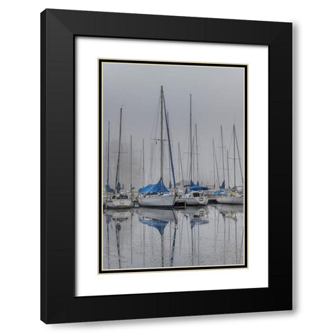 Sailing Boats Black Modern Wood Framed Art Print with Double Matting by Amos, Andy
