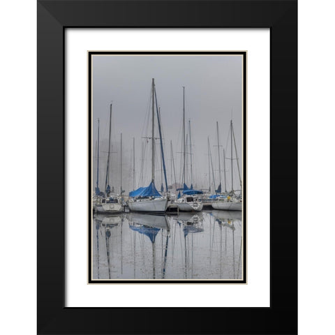 Sailing Boats Black Modern Wood Framed Art Print with Double Matting by Amos, Andy