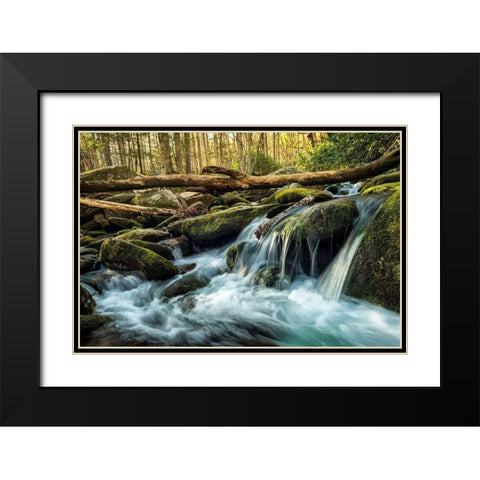 Sticks and Stones Black Modern Wood Framed Art Print with Double Matting by Amos, Andy