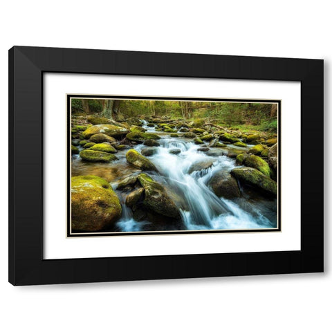 Moss Rocks Black Modern Wood Framed Art Print with Double Matting by Amos, Andy