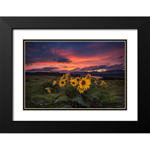 Sunset at the Gorge Black Modern Wood Framed Art Print with Double Matting by Amos, Andy