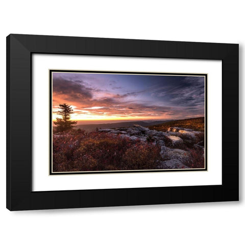 Sunrise in Fall III Black Modern Wood Framed Art Print with Double Matting by Amos, Andy