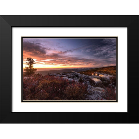 Sunrise in Fall III Black Modern Wood Framed Art Print with Double Matting by Amos, Andy