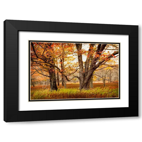 Crossing Paths Black Modern Wood Framed Art Print with Double Matting by Amos, Andy