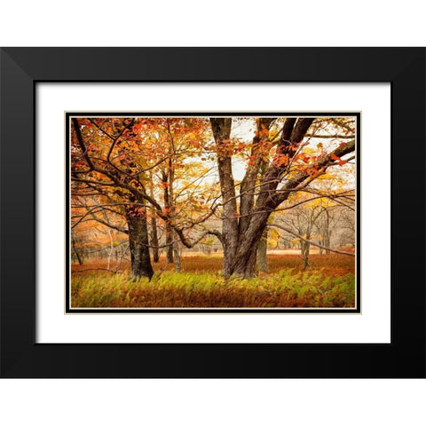 Crossing Paths Black Modern Wood Framed Art Print with Double Matting by Amos, Andy