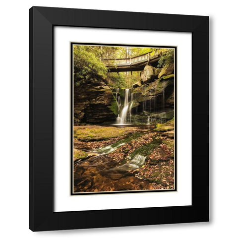 Under the Bridge II Black Modern Wood Framed Art Print with Double Matting by Amos, Andy