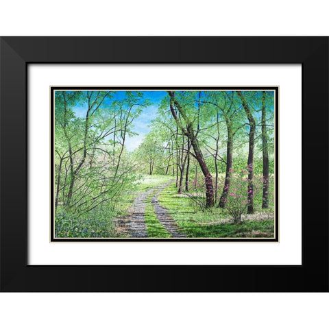 Springs Poetry Black Modern Wood Framed Art Print with Double Matting by Redding, James