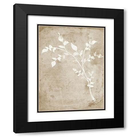 Rustic Floral I Black Modern Wood Framed Art Print with Double Matting by Quach, Anna