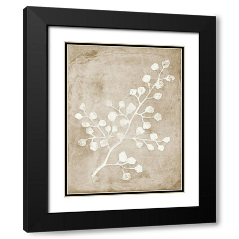 Rustic Floral II Black Modern Wood Framed Art Print with Double Matting by Quach, Anna